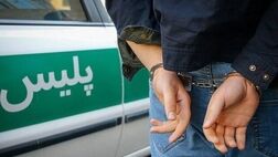 دستگیری مرد جوان با کیف دلارهای تقلبی
