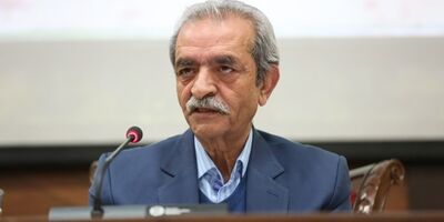 دولت با ایجاد بازار ثانویه ارز موافق است/ محدودیت واردات لازم بود