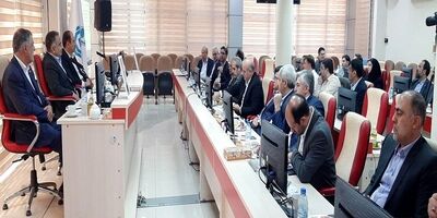
تعدد و پیچیدگی مقررات نباید کار را برای بازیگران صنعت بیمه دشوار کند
