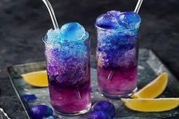 طرز تهیه شربت گل پنیرک در رنگ های مختلف
