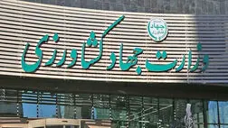 درآمد عملیاتی ۹ شرکت وزارت جهاد به ۷۸ هزارمیلیارد تومان رسید
