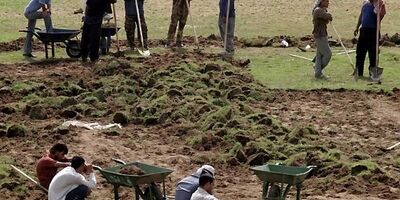 25 درصد از اراضی کشاورزی همدان بیمه است