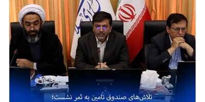 دیه شکستگی استخوان امسال به ۴۲۰ میلیون تومان رسید
