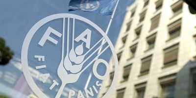 قیمت جهانی مواد غذایی کاهش یافت