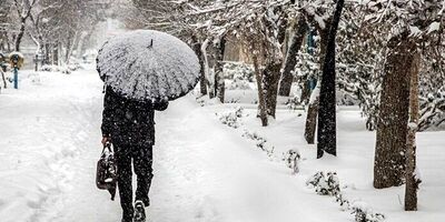 بارش ۶۰ سانتیمتری برف در تهران تکذیب شد