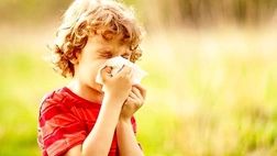 کاهش علائم حساسیت فصلی با راهکارهای طب سنتی
