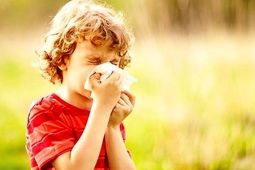 راهکارهایی برای فرار از آلرژی‌ پائیز
