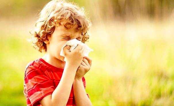راهکارهایی برای فرار از آلرژی‌ پائیز
