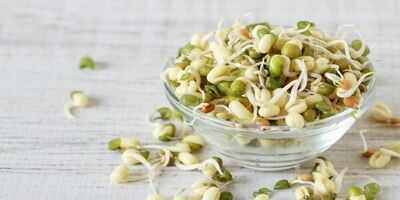 جوانه ماش؛ بمب ویتامین و پروتئین
