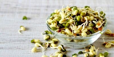 جوانه ماش؛ بمب ویتامین و پروتئین
