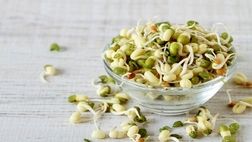 جوانه ماش؛ بمب ویتامین و پروتئین
