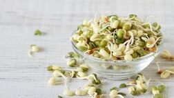 جوانه ماش؛ بمب ویتامین و پروتئین
