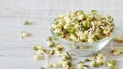 جوانه ماش؛ بمب ویتامین و پروتئین
