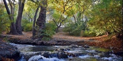 بازی نور و آب در باغ فتح آباد؛ اوج معماری هنرمندان کرمانی
