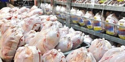 روزانه ۶۰۰ تن مرغ مازاد بر نیاز بازار عرضه می شود