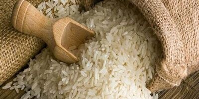 برنجی روی دست کشاورزان نمانده