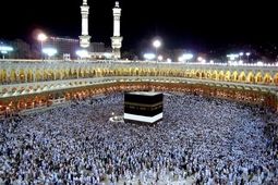 اعزام زائرین حج ۱۴۰۴ آغاز شد
