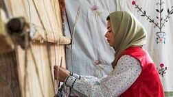 ایجاد بیش از ۱۶۰ هزار کسب‌وکار خانگی در دولت سیزدهم

