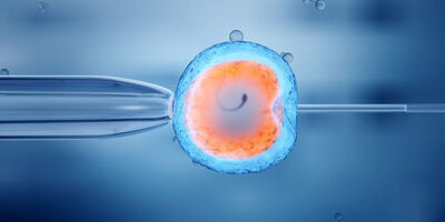 هزینه IVF با بیمه تامین اجتماعی ۱۴۰۴ چقدر است؟