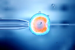 هزینه IVF با بیمه تامین اجتماعی ۱۴۰۴ چقدر است؟