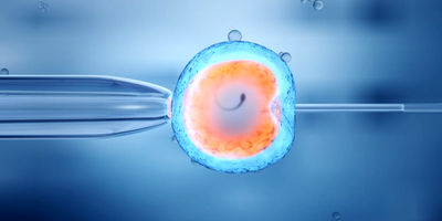 هزینه چکاپ کامل با بیمه تامین اجتماعی در سال ۱۴۰۴؛ راهنمای جامع و لیست قیمت‌ها