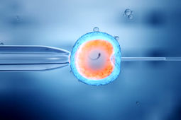 هزینه IVF با بیمه تامین اجتماعی ۱۴۰۴ چقدر است؟