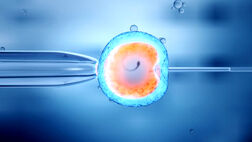 هزینه IVF با بیمه تامین اجتماعی ۱۴۰۴ چقدر است؟
