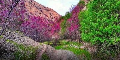 دشت ارغوان؛ بهشت ناشناخته
