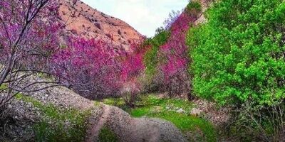 دشت ارغوان؛ بهشت ناشناخته
