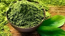 خواص شگفت انگیز گیاه حنا