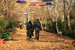 راهی موثر برای پیشگیری از افسردگی فصلی پاییز