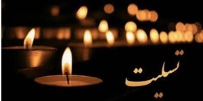 درخواست وزیر اقتصاد از بیمه مرکزی برای پیگیری حداکثر مساعدت در ارائه خدمات بیمه‌ای به حادثه دیدگان
