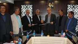  آمادگی صندوق بیمه کشاورزی برای گسترش بیمه جمعیت دامی کشور
