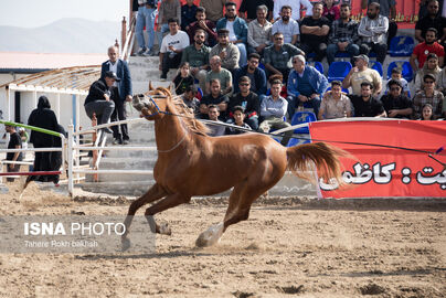 63256869__DSC8943-copy
