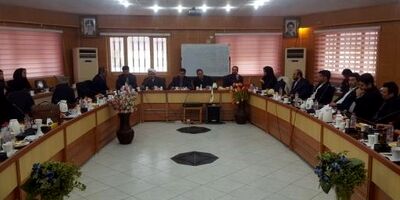 0.6 درصد ضریب نفوذ بیمه کوثر به بوشهر رسید