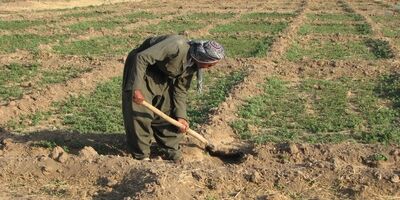 ۲ میلیون نفر بدون بیمه در مناطق روستایی و عشایری شناسایی شدند