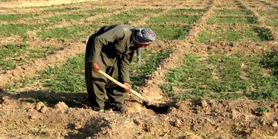 ۲ میلیون نفر بدون بیمه در مناطق روستایی و عشایری شناسایی شدند