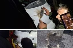 منشأ صدای انفجار در منطقۀ 10 تهران بستۀ انفجاری دست‌ساز بود

