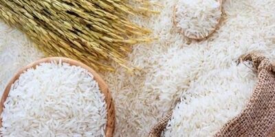 واردات برنج خارجی ممنوع شد