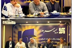 شناسایی نیازهای بیمه‌گزاران از طریق آمایش منطقه‌ای، از شاخص‌های اصلی رشد پرتفوی نمایندگان