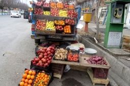 ۶۵۷ هزار وانت بار فروش میوه اعمال قانون شدند
