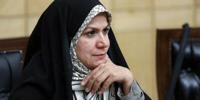 پیشنهاد بیمه راهنمایان گردشگری به کمیسیون تلفیق بودجه سال ۹۹ ارائه شد