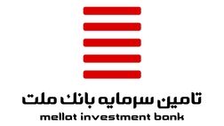 شجاع وشوشاد سوار قطار هیات مدیره تامین سرمایه بانک ملت شد