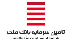 شجاع وشوشاد سوار قطار هیات مدیره تامین سرمایه بانک ملت شد