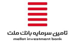 شجاع وشوشاد سوار قطار هیات مدیره تامین سرمایه بانک ملت شد