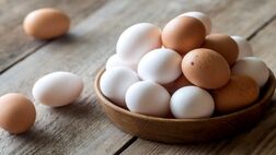 صادرات تخم مرغ از ۵۵ هزارتن گذشت