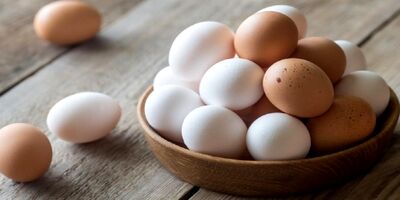 تولید تخم مرغ شهریور به ۱۱۵ هزارتن می‌رسد