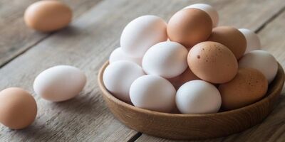 تولید ماهانه تخم مرغ به ۱۲۰ هزارتن رسید
