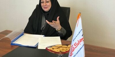 آیین نامه‌های نهاد ناظر هیات مدیره شرکت بیمه ای را برای سرمایه گذاری محدود کرده است