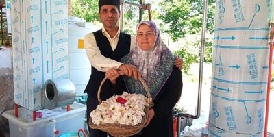 روستای «گیلده» میزبان روز ملی گل محمدی
